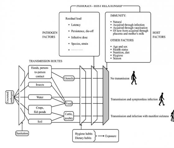 transmissen routes